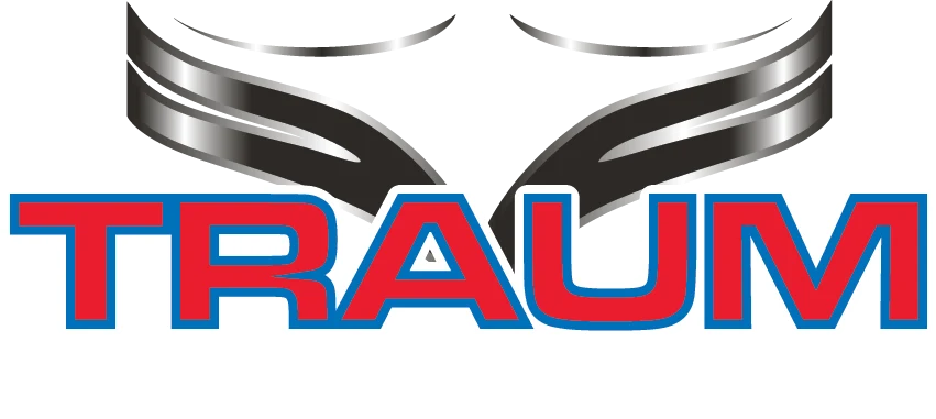 Traum Pistons